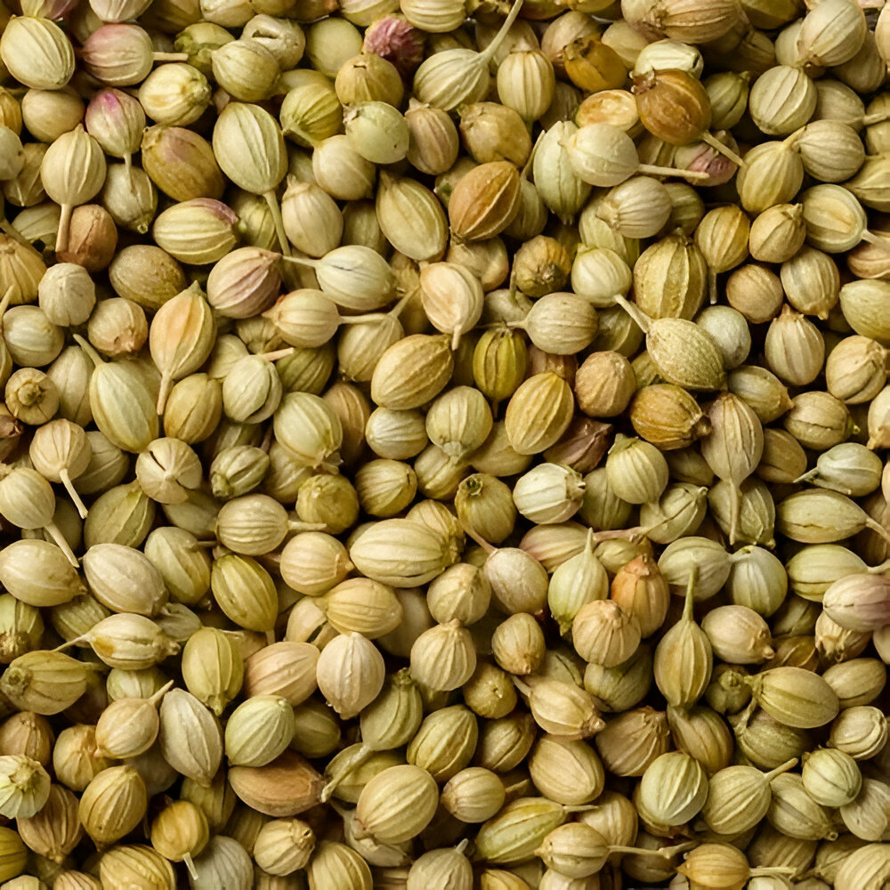 Carlander Seed Image